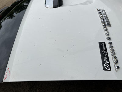 2008 Chrysler Town & Country Trunk/Decklid/Hatch/Tailgate