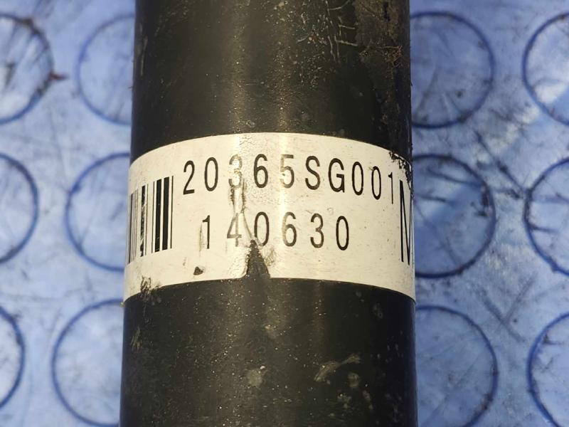 2015 Subaru Forester Strut Assembly