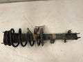 2019 Ford EcoSport Strut Assembly