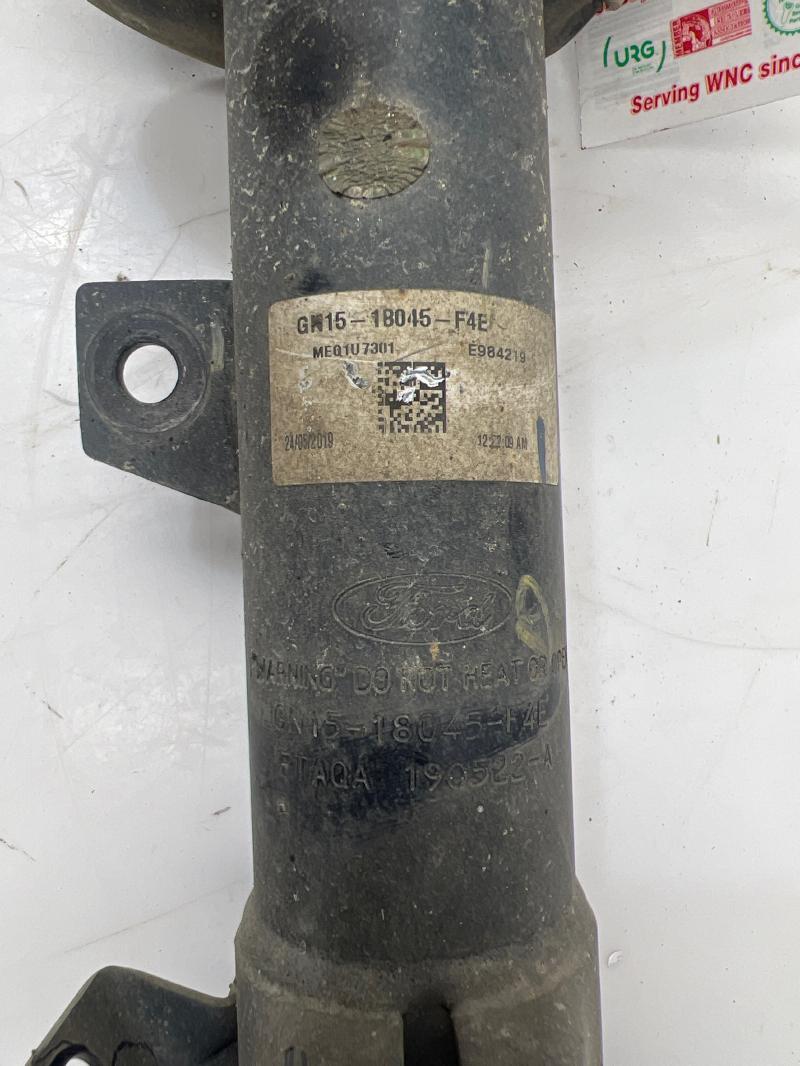 2019 Ford EcoSport Strut Assembly