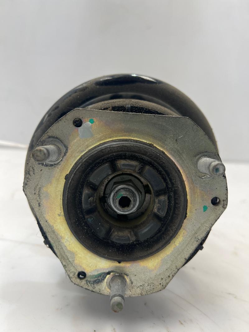 2019 Ford EcoSport Strut Assembly