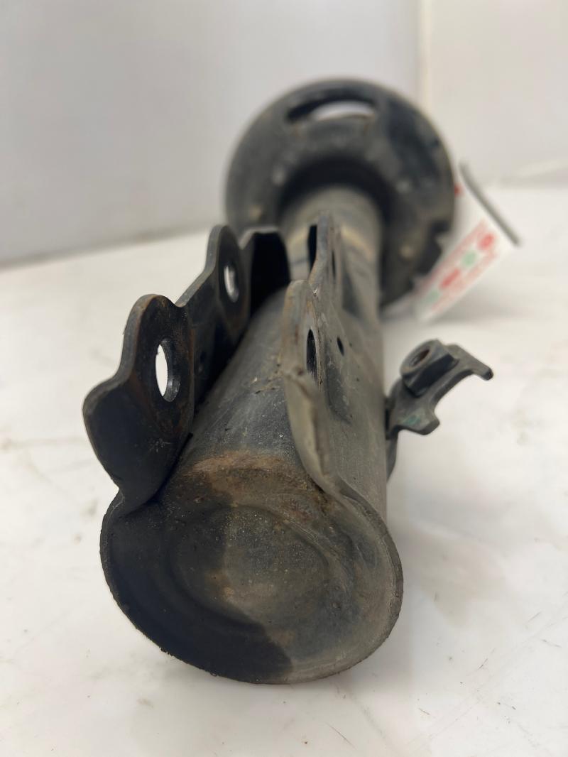 2019 Ford EcoSport Strut Assembly