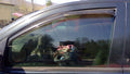 2008 Nissan Titan Front Door Glass/Window