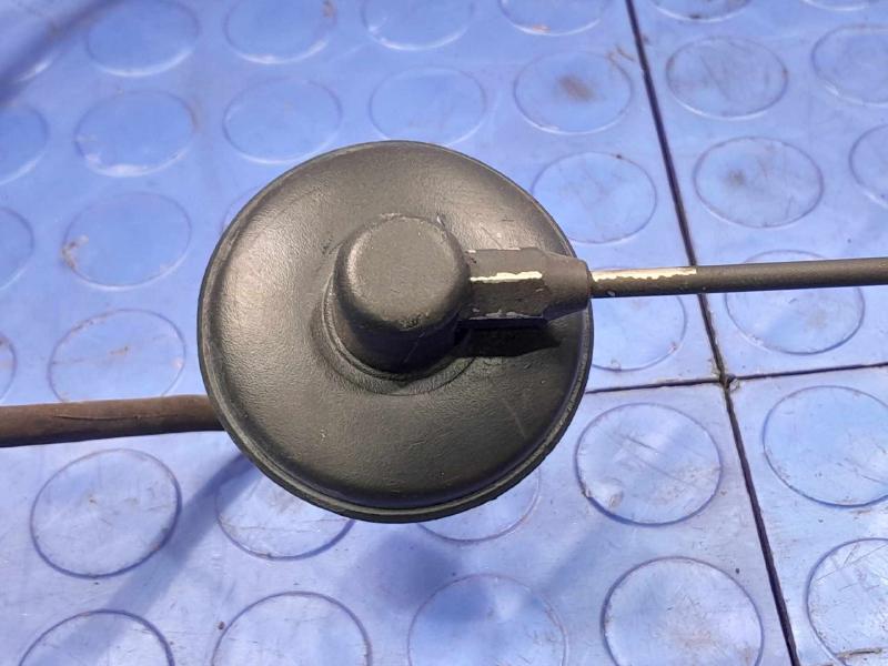 1997-2006 Jeep Wrangler TJ Radio Antenna Assembly Genuine OEM 56038660AB