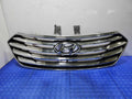 2013 Hyundai Santa Fe Grille