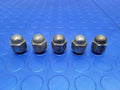2014-2023 Toyota Corolla Steel Wheel Acorn Lug Nuts - 5 Genuine OEM 9094201021