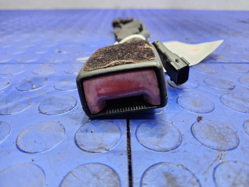 2013 Ford Focus Front Seat Belt