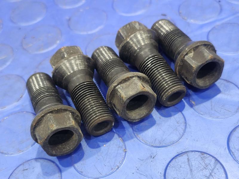 2017 BMW X1 Lug Nuts