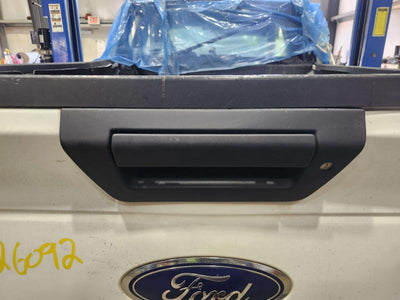 2015 Ford F-150 Outside Door Handle