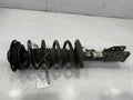 2010 GMC Terrain Strut Assembly