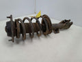 2014-2016 Hyundai Elantra Sedan Front Strut Assembly Left Driver Side OEM 546513Y161 ,LH