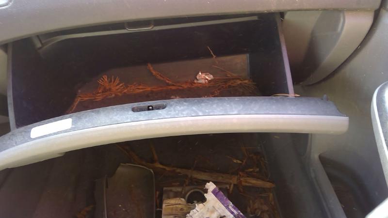 2006 - 2011 Honda Civic Glove Box Atlas Gray OEM 77500SNAA02ZA
