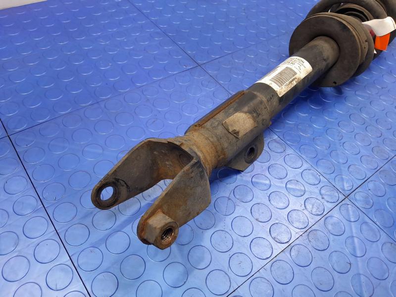 2015 Dodge Charger Strut Assembly