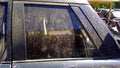 2003 Land Rover Range Rov Quarter Glass/Window