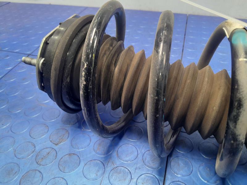 2021 Ford EcoSport Strut Assembly