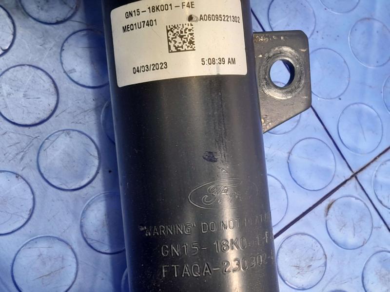 2021 Ford EcoSport Strut Assembly