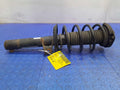 2013 Volkswagen Beetle Strut Assembly