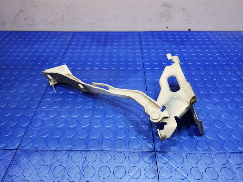 2015 Ford F-150 Hood Hinge