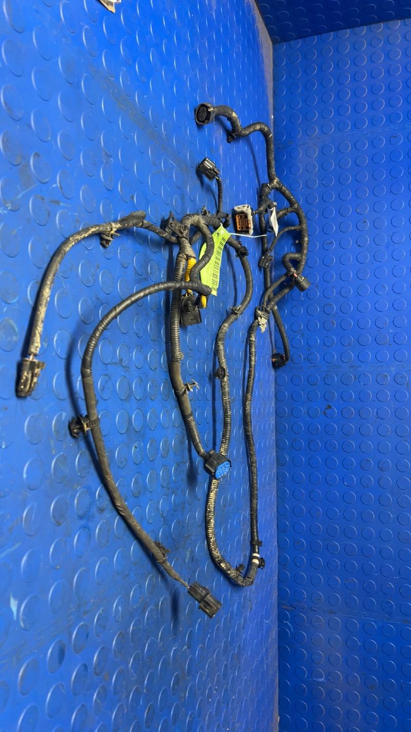 2018 Kia Sorento Wire Harness (Body)