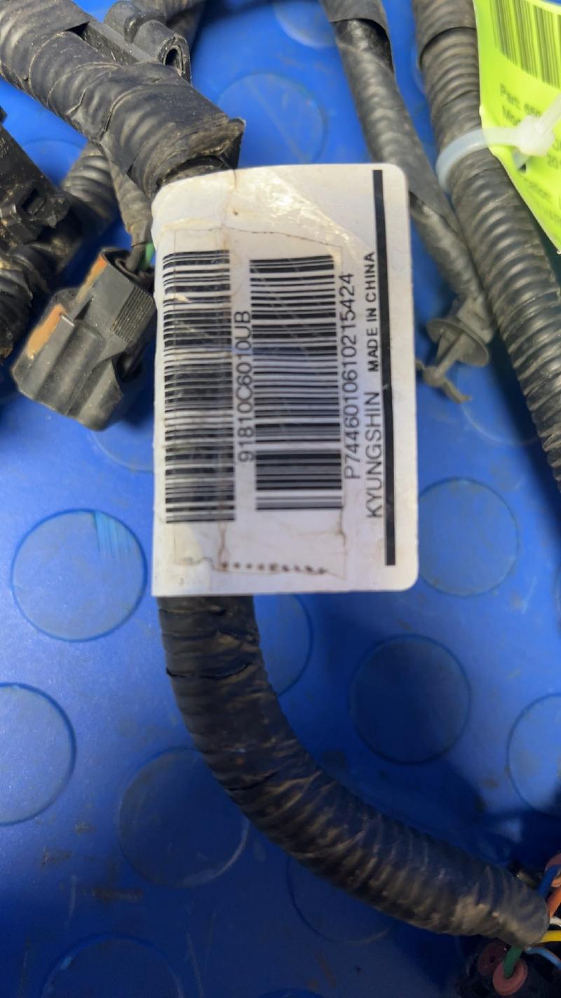 2018 Kia Sorento Wire Harness (Body)