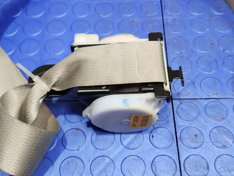 2016 Kia Sedona Rear Seat Belt