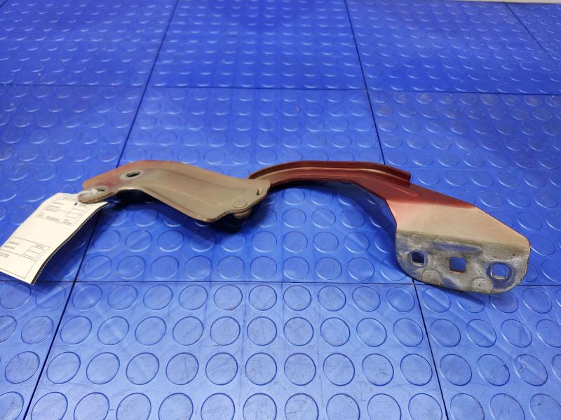2014 Ford Focus Hood Hinge