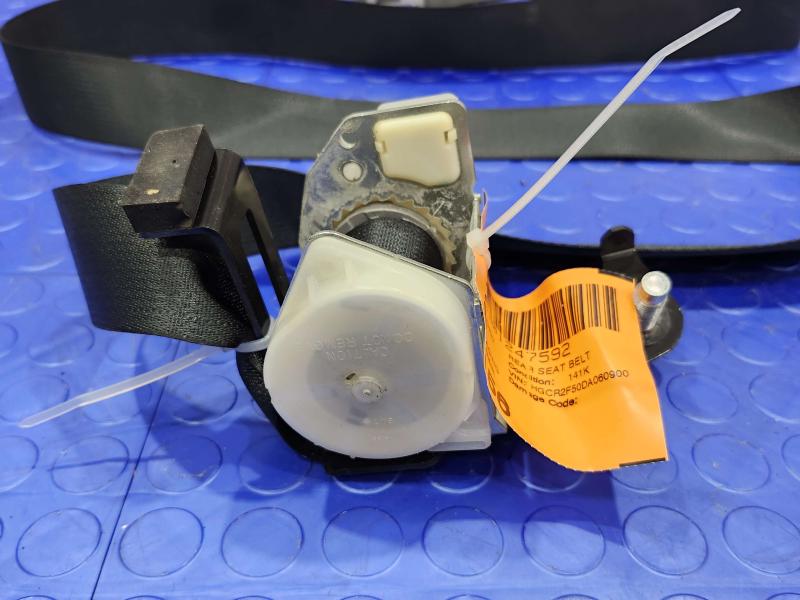 2013 Honda Accord Rear Seat Belt