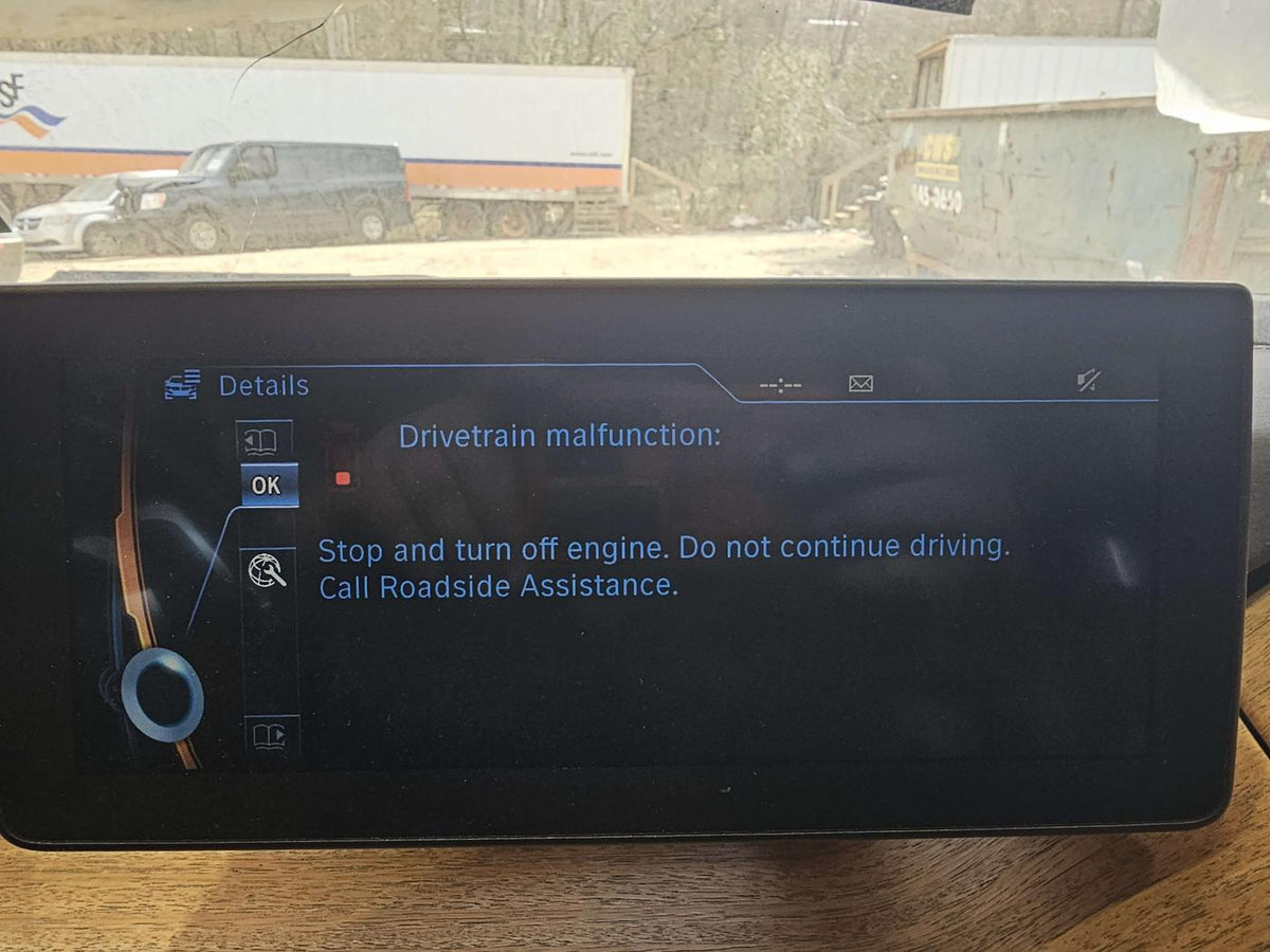 2015 BMW i3 Center Cap