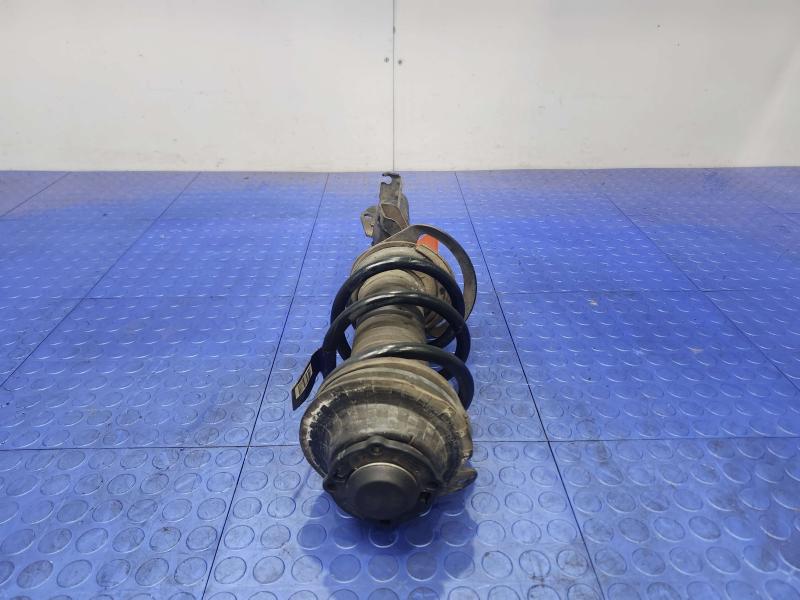 2015 Chrysler 200 Strut Assembly