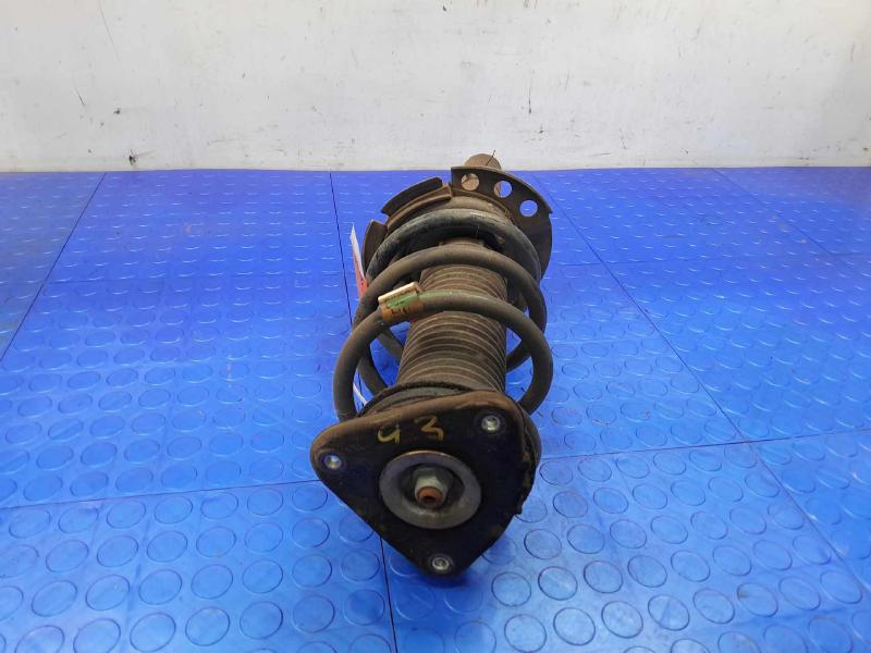 2016 Ford Escape Strut Assembly