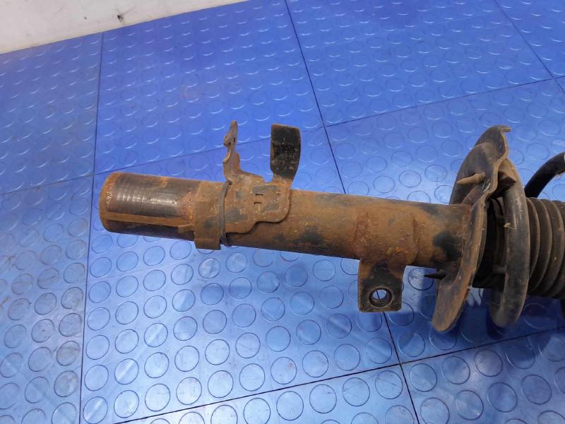2016 Ford Escape Strut Assembly