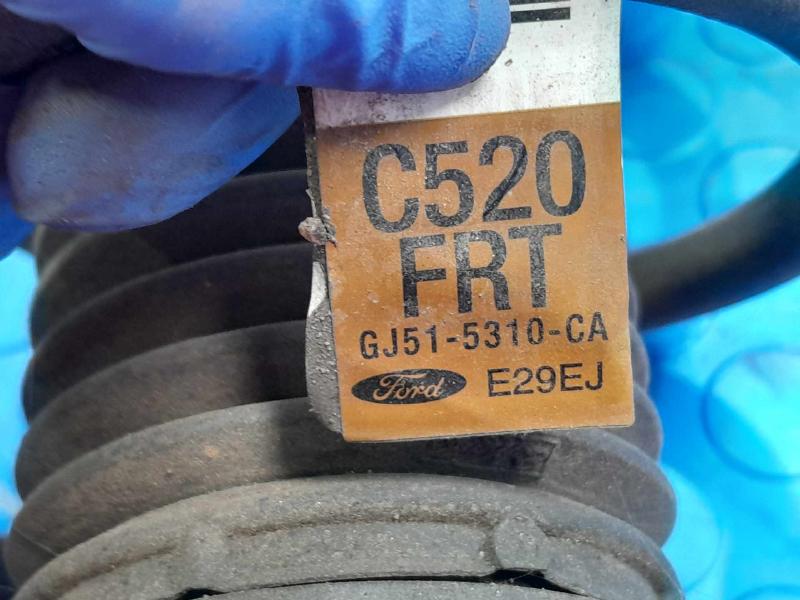 2016 Ford Escape Strut Assembly