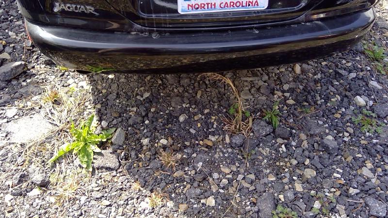 1997 Jaguar XK8 Rear Bumper Assembly