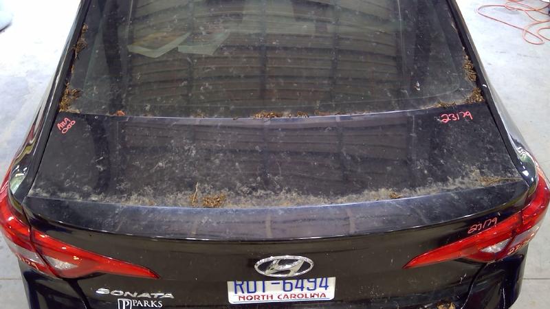 2017 Hyundai Sonata Trunk/Decklid/Hatch/Tailgate