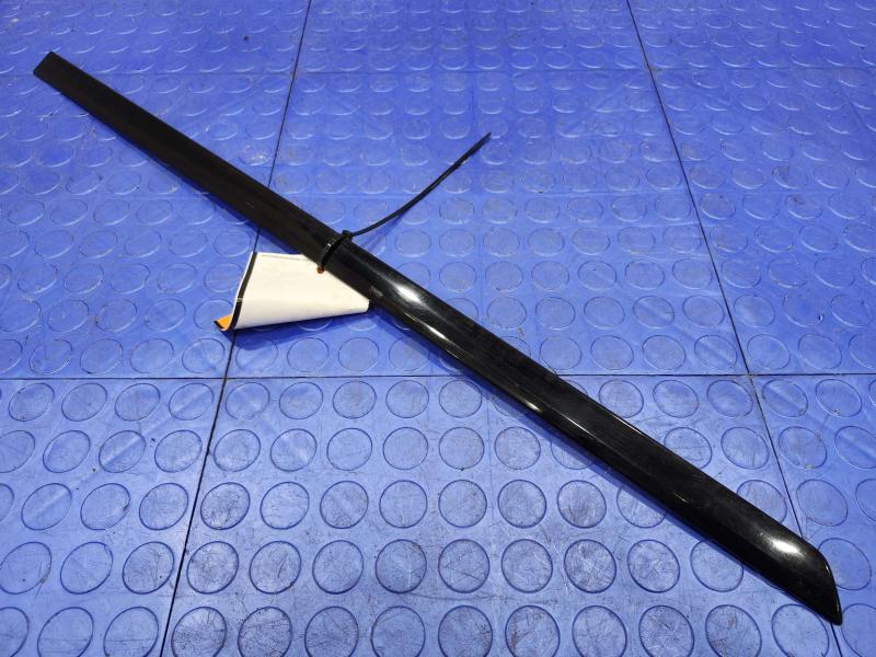 2018 Volkswagen Passat Rear Door Moulding
