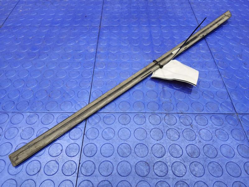 2018 Volkswagen Passat Rear Door Moulding