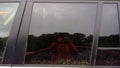 2010 Land Rover Range Rov Rear Door Glass/Window