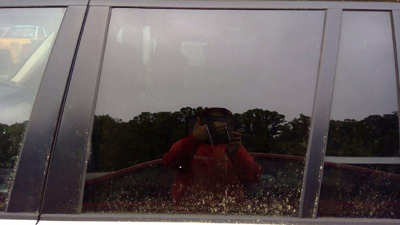 2010 Land Rover Range Rov Rear Door Glass/Window