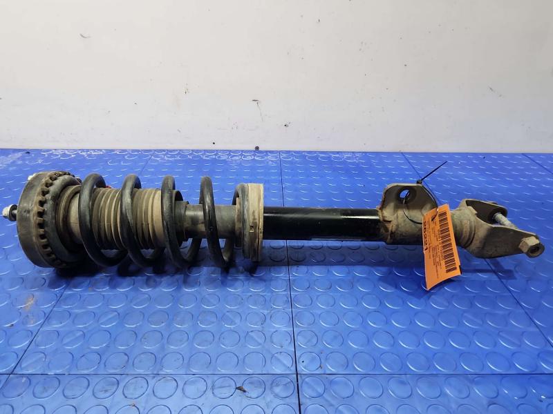 2014 Chrysler 300 Strut Assembly
