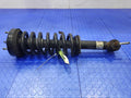 2015 Ford F-150 Strut Assembly