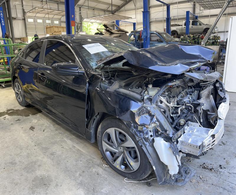 2019 Honda Civic Back Glass/Window