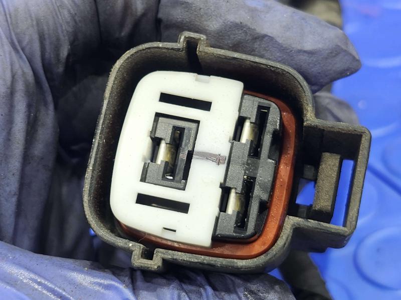 2011 Kia Sorento Wire Harness (Engine)