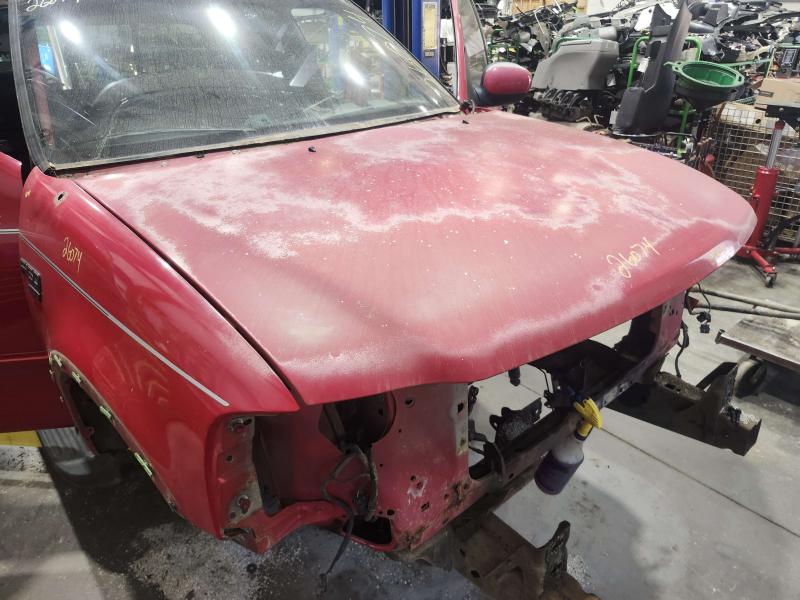 2001 Ford F-150 Hood