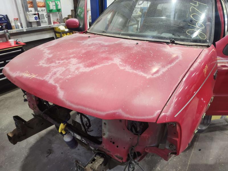 2001 Ford F-150 Hood