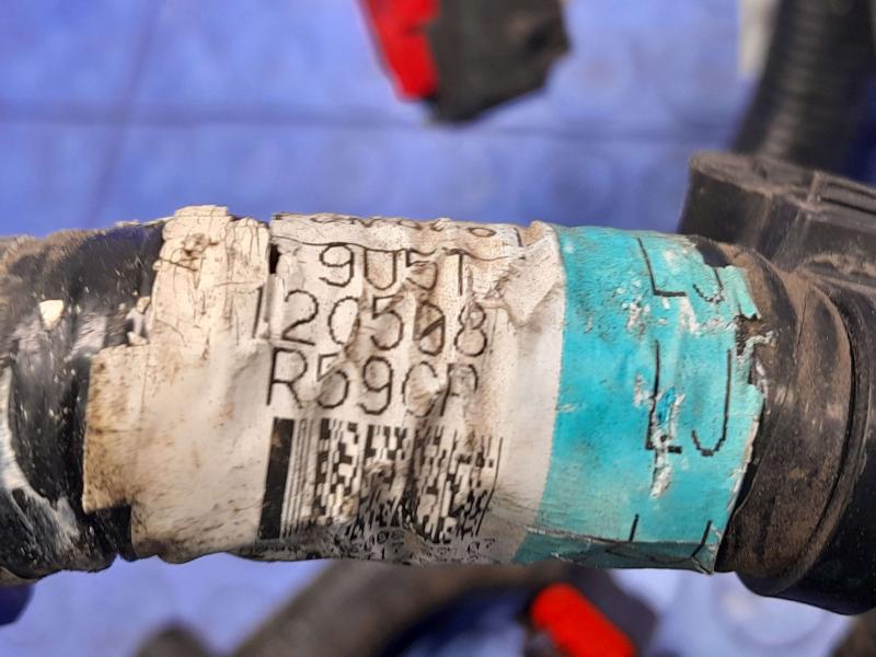 2009 Ford Escape Wire Harness (Engine)
