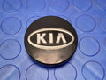 2013 Kia Forte Center Cap