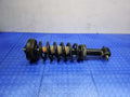 2015 Ford F-150 Strut Assembly