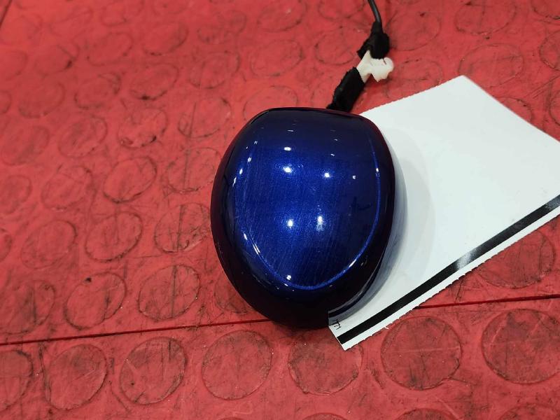 2015-2023 Ford Mustang Radio Antenna Assembly Blue J4 OEM GR3T-19C175-AB5DCW