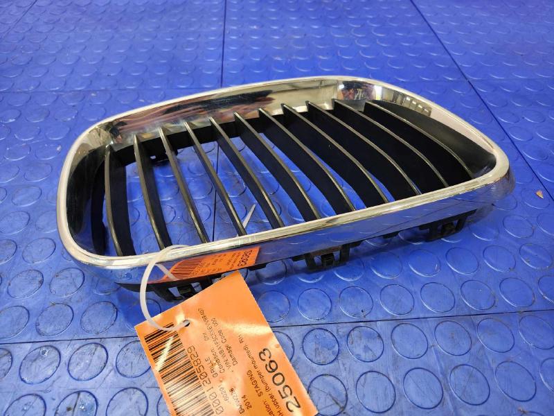 2014 BMW 228i Grille
