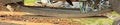 1997 Dodge Ram 1500 Leaf Spring Rear